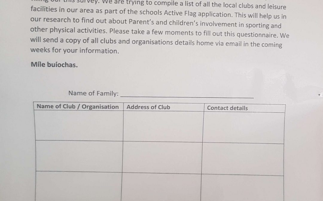 Active Flag Committee Questionaire