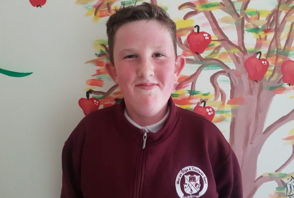 Killoughteen National School gets a new school crest designed by 5th class pupil Jack Kelly