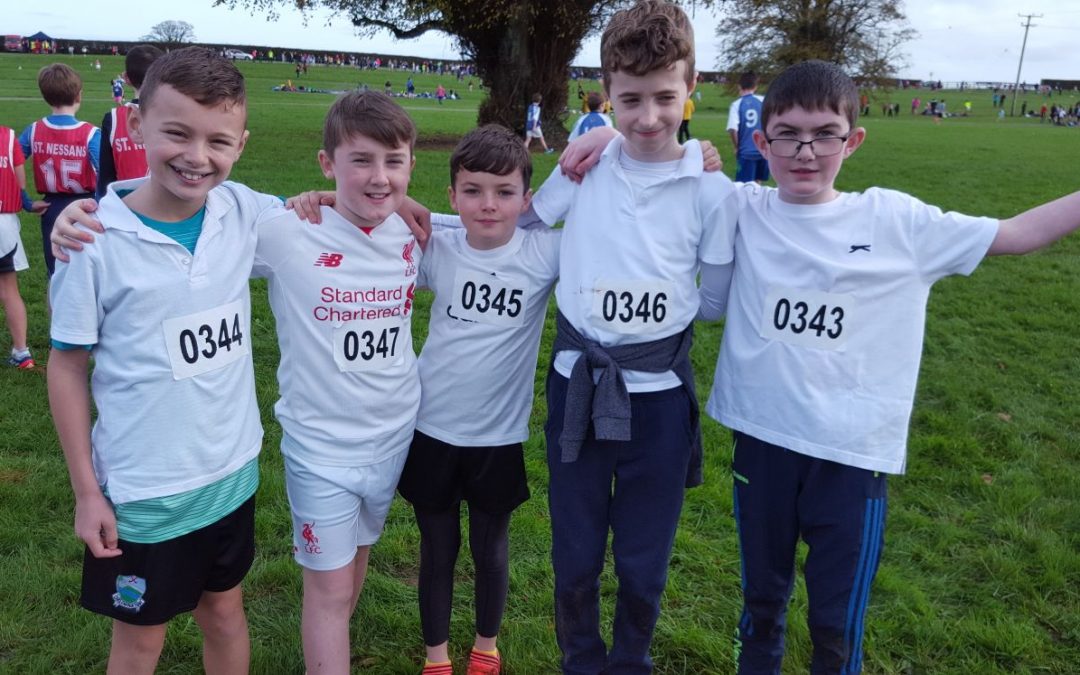 Cross Country running in Patrickswell