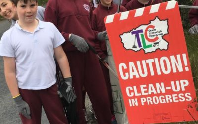 Team Limerick Clean-up