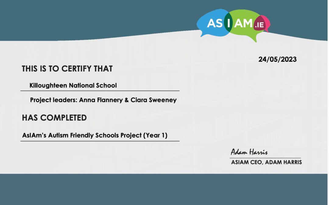 Autism Friendly Schools Project- AsiAm